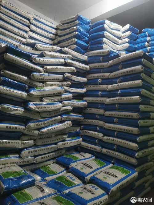 白芝麻價(jià)格趨勢(shì)與行業(yè)應(yīng)用分析